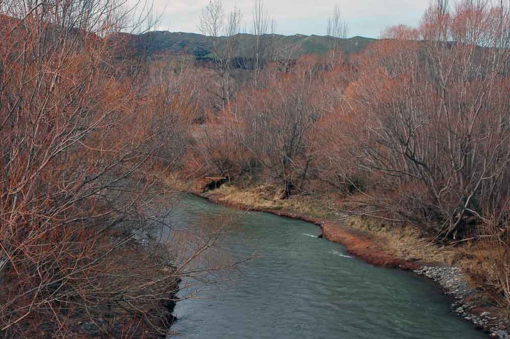 219 - Nueva Zelanda, paisaje